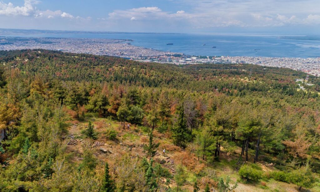 Θεσσαλονίκη: Απαγόρευση κυκλοφορίας αύριο σε Σέιχ Σου και δασικές περιοχές Θέρμης, Ωραιοκάστρου και Πανοράματος