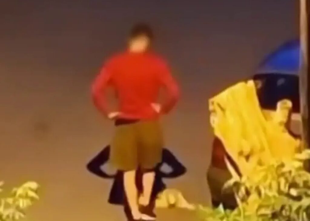 Θεσσαλονίκη: Πρόστιμο 50.000 ευρώ από τον δήμο Καλαμαριάς στον δράστη που κλώτσησε και πάτησε γατάκι με ΙΧ