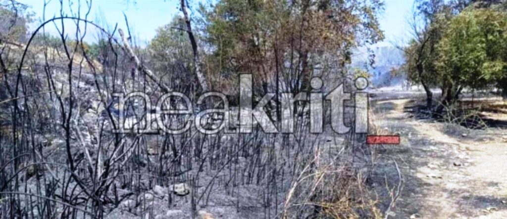 Υπό έλεγχο το πύρινο μέτωπο στο Ηράκλειο Κρήτης!