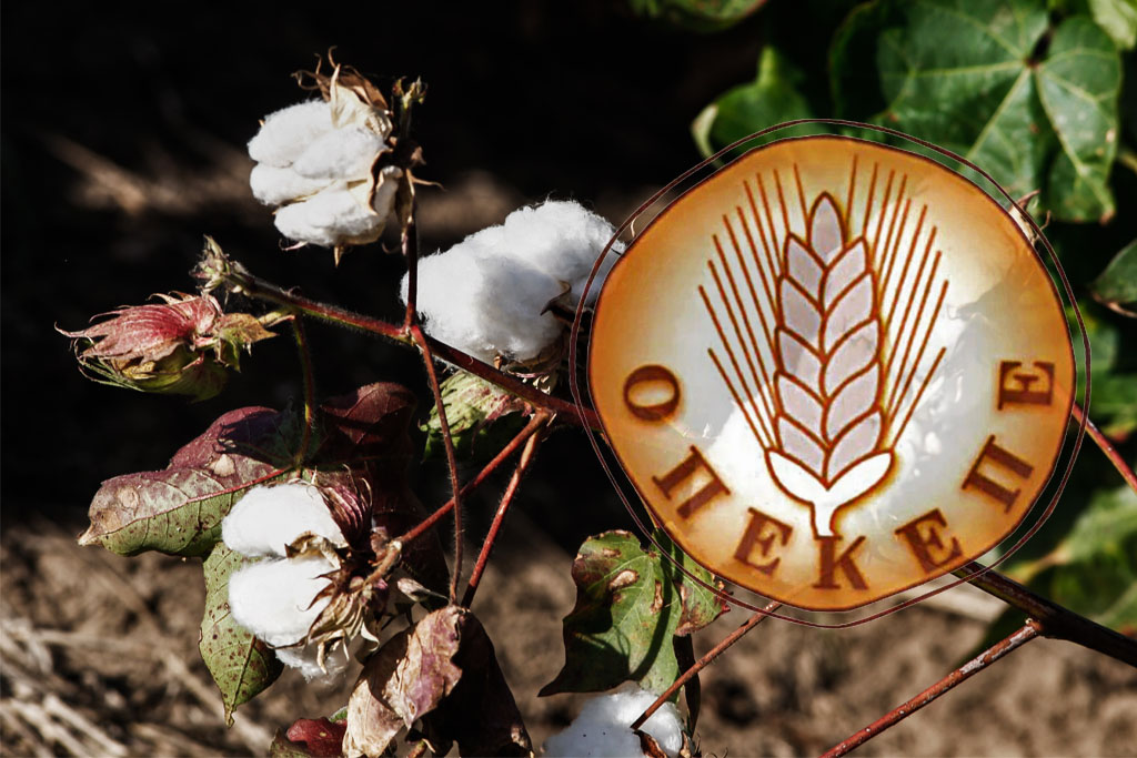 Σκάνδαλο ΟΠΕΚΕΠΕ: Μοίρασαν 8,4 εκατ. ευρώ για καλλιέργεια – φάντασμα βαμβακιού… στην Κρήτη