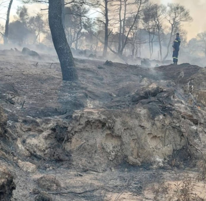 Bουρβουρού – Χαλκιδική: Χωρίς ενεργό μέτωπο η πυρκαγιά