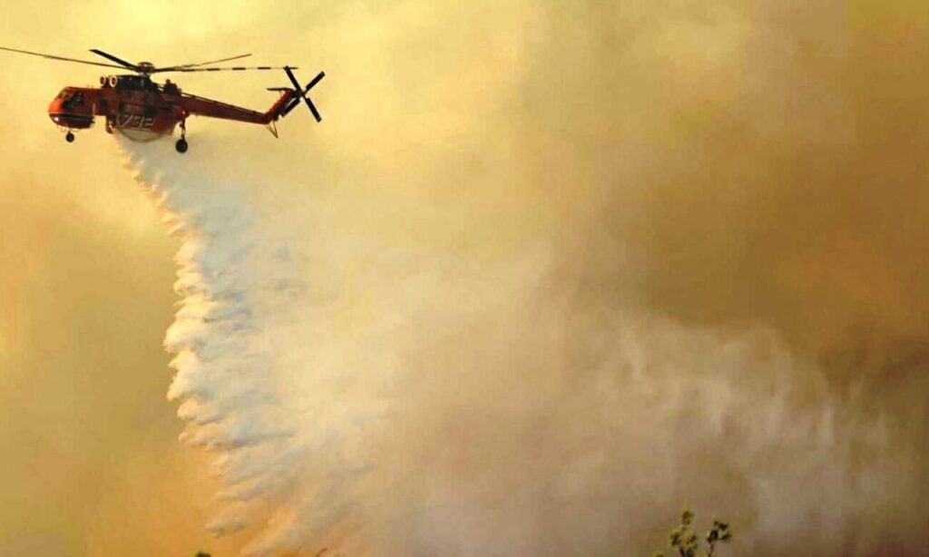 Πυρκαγιά στη Λακωνία!