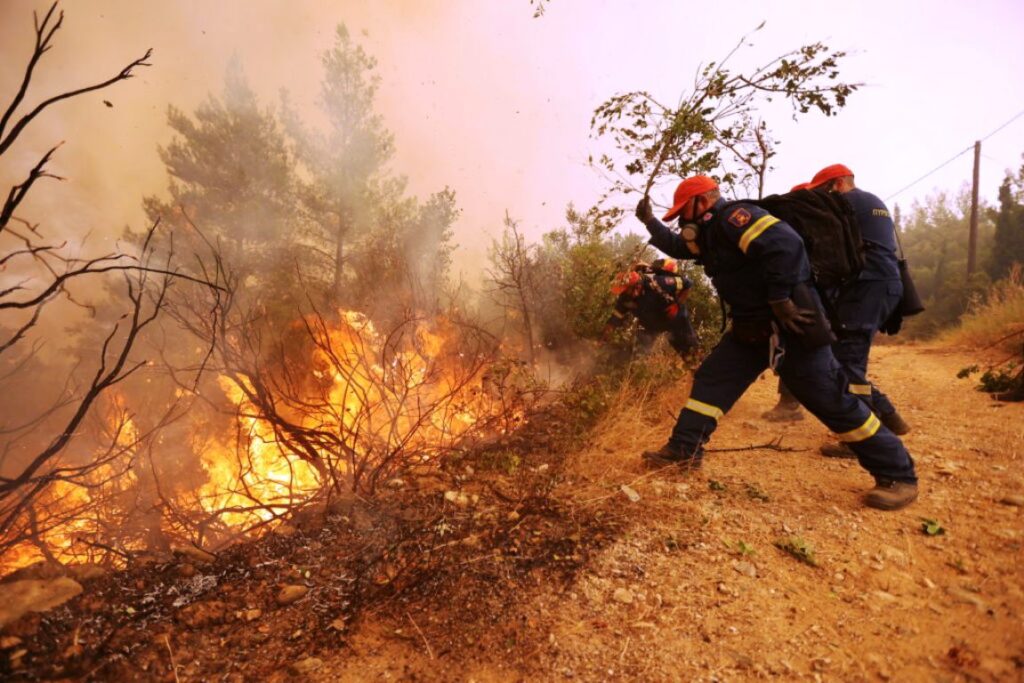 Φωτιά στην Πρέβεζα