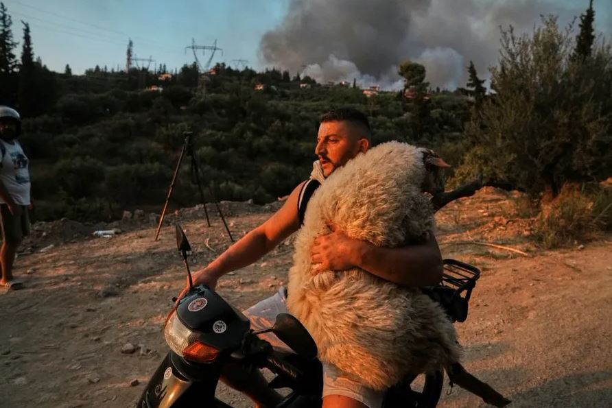 Εικόνες που συγκινούν