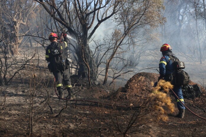 Οριοθετήθηκε η φωτιά στην Κάντζα Αττικής – Ενισχύθηκαν προληπτικά οι πυροσβεστικές δυνάμεις (Video)