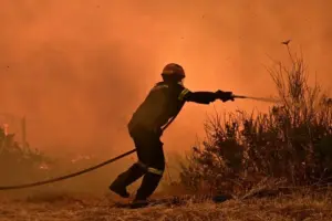 Δασική πυρκαγιά στο νότιο Πήλιο – Μήνυμα 112 για ετοιμότητα