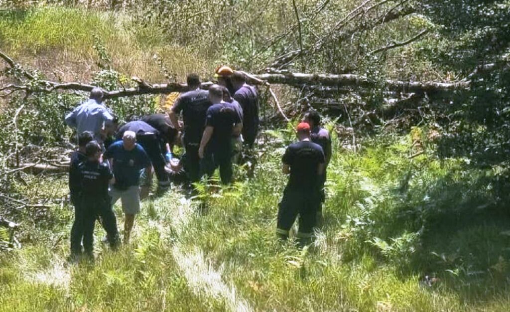 Ξυλοκόπος καταπλακώθηκε από οξιά