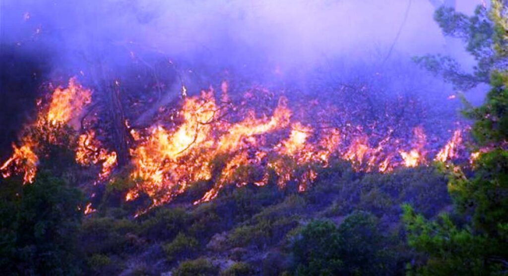 Αναζοπύρωση της πυρκαγιάς στο Βαϊοχώρι Θεσσαλονίκης στη μεγάλη Βόλβη