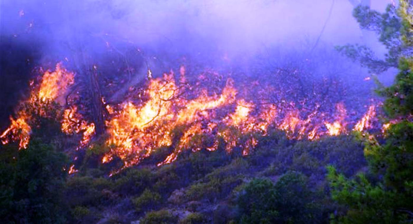 Αναζοπύρωση της πυρκαγιάς στο Βαϊοχώρι Θεσσαλονίκης στη μεγάλη Βόλβη