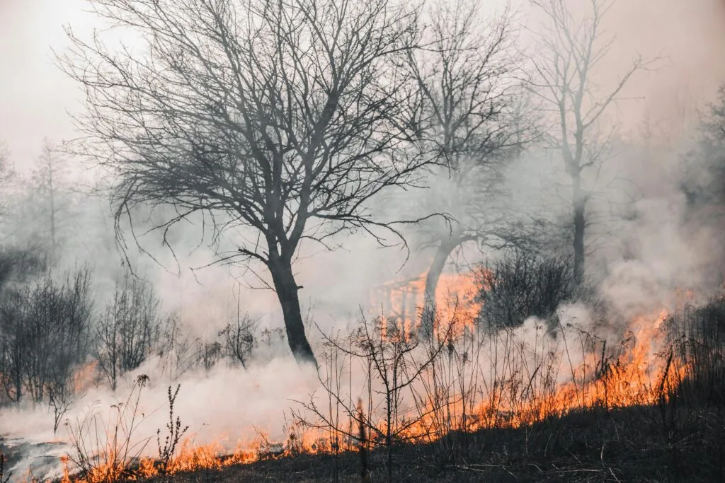 Φωτιά εκδηλώθηκε σε αγροτοδασική έκταση στις Σέρρες