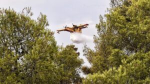 Φωτιά τώρα σε δάσος στη Σαγιάδα Θεσπρωτίας – Σηκώθηκαν εναέρια