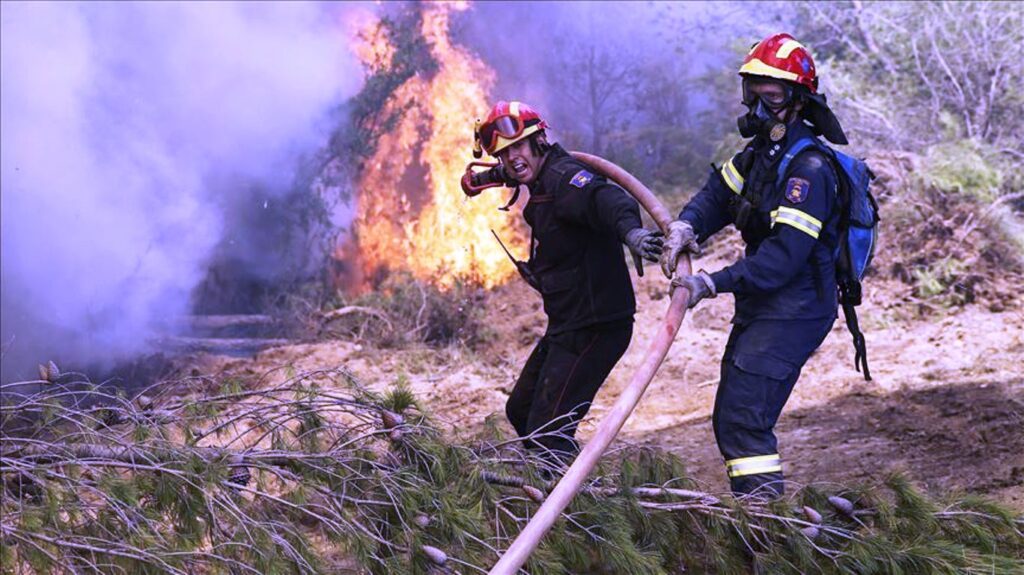 Φωτιά σε εξέλιξη στον Πρόδρομο Βοιωτίας