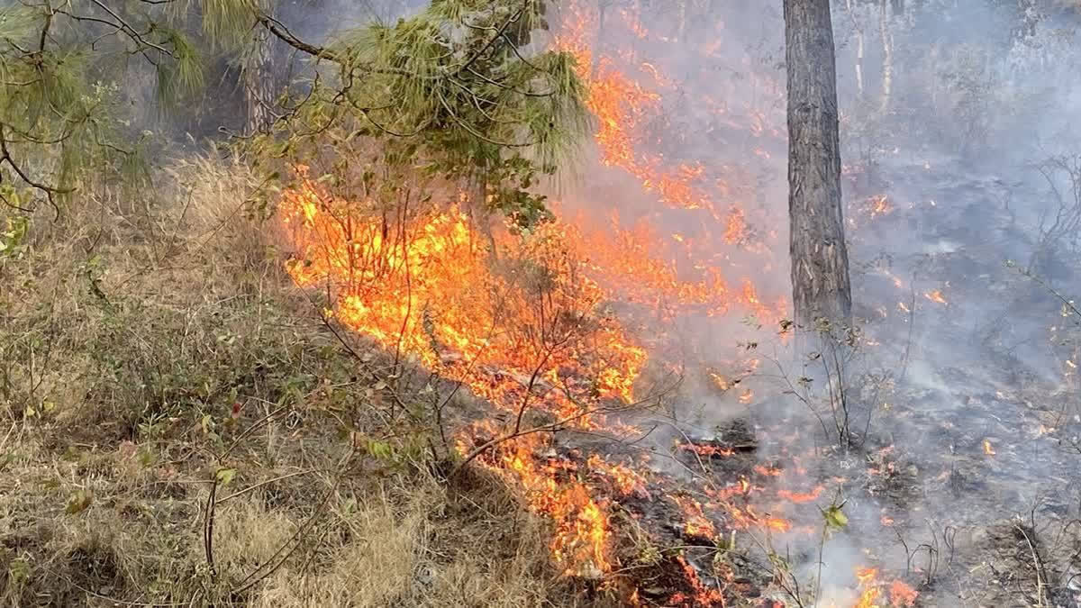 Πυρκαγιά τώρα στην Κεφαλλονιά – Εκκενώνονται τρία χωριά