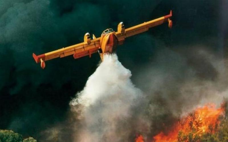 Πυρκαγιά σε δασική έκταση στην Τροιζήνα