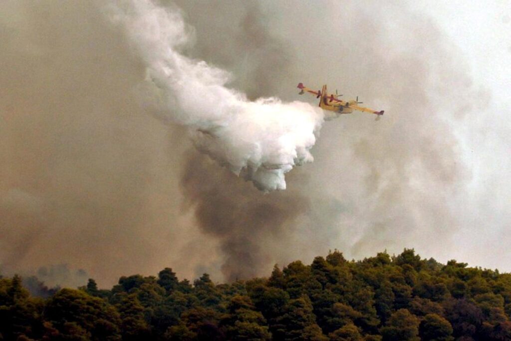 Φωτιά σε δασική έκταση στη Βοιωτία