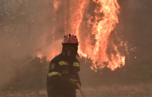 Πυρκαγιά σε δασική έκταση στη Λακωνία
