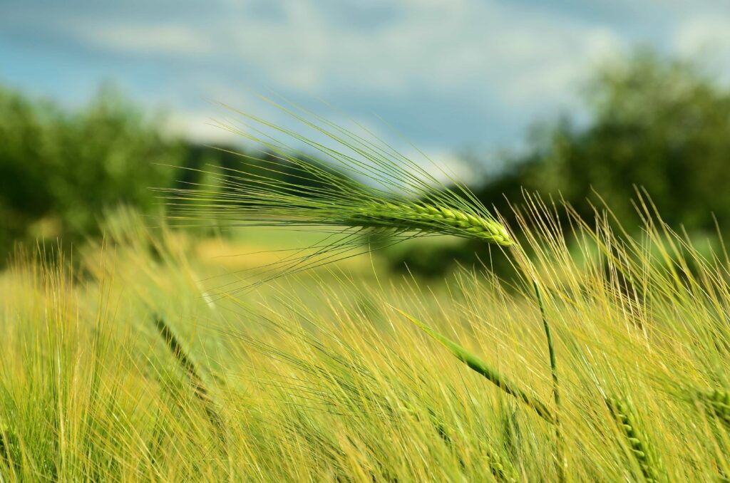 ΟΠΕΚΕΠΕ: Χωρίς δήλωση του ΑΤΑΚ δεν θα γίνονται πληρωμές