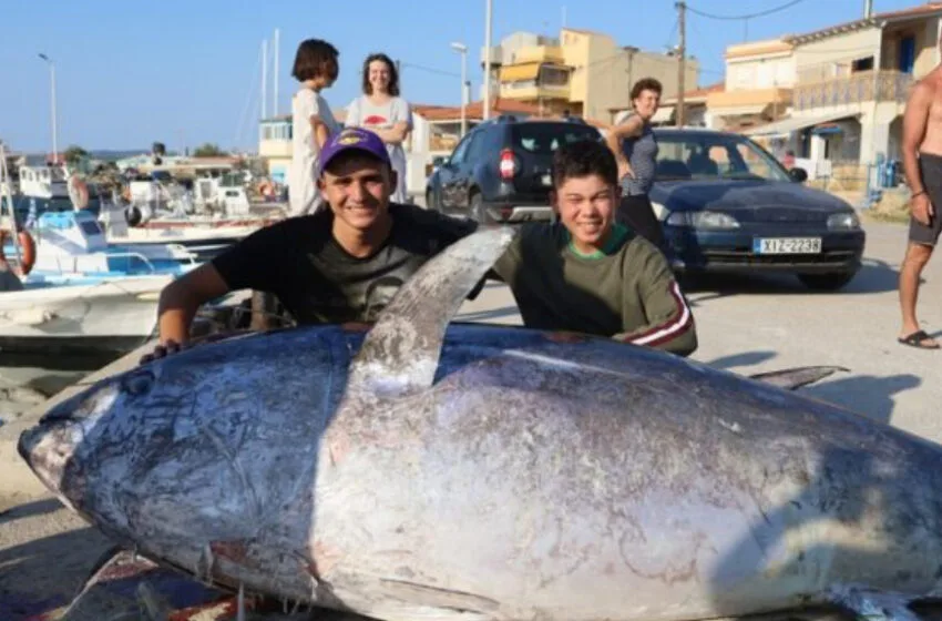 Χίος: Μοίρασαν δωρεάν μερίδες από τόνο 350 κιλών