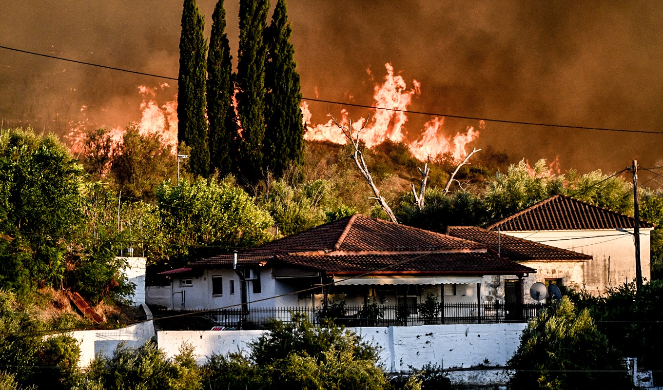 Πάνω από 8.000 στρέμματα κάηκαν στην Ολυμπία