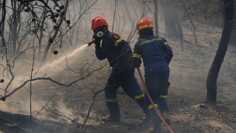 Φωτιά στην περιοχή Βρίσα της Λέσβου