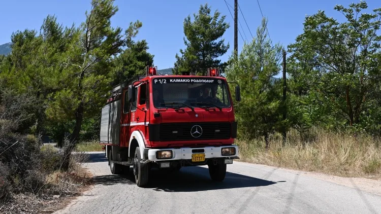 Πυροσβεστική: Στη Θεσσαλονίκη ειδικό κλιμάκιο λόγω της αύξησης πυρκαγιών
