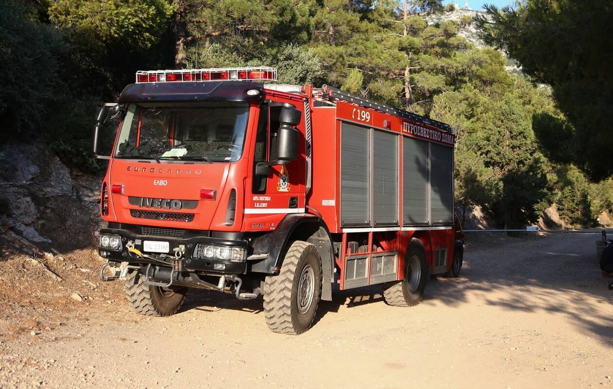 Υψηλός κίνδυνος πυρκαγιάς σήμερα στη Χαλκιδική