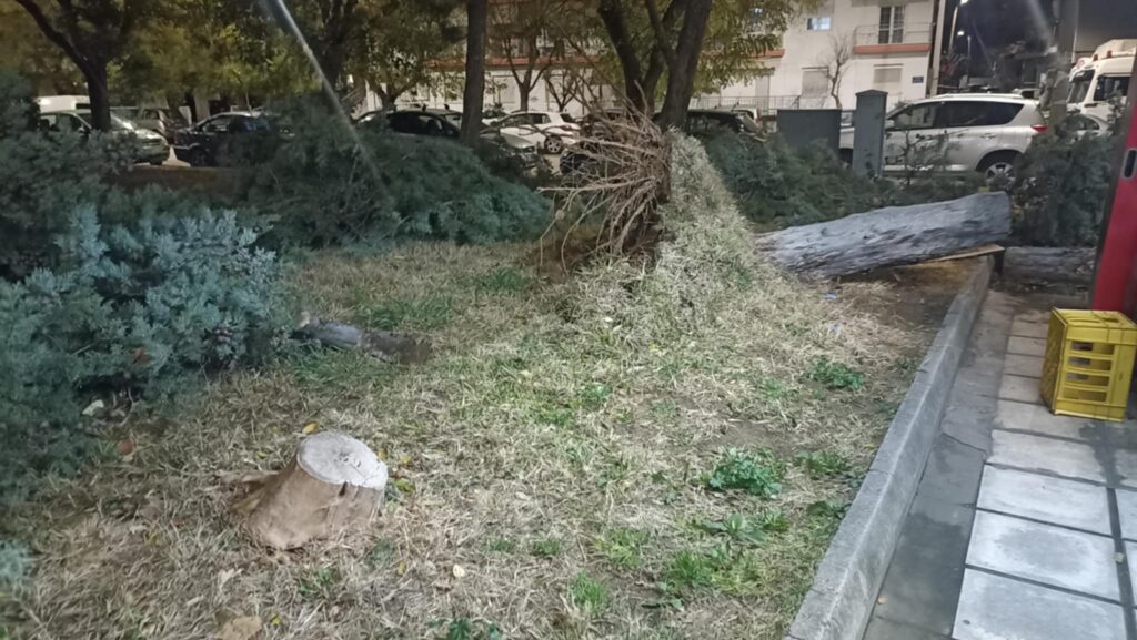 Χαμός στον Βόλο: Πτώσεις δέντρων, βλάβες στο δίκτυο ηλεκτρισμού και ζημιές σε Ι.Χ.