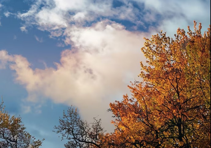 Καιρός: Στους 23 βαθμούς η θερμοκρασία με συννεφιά