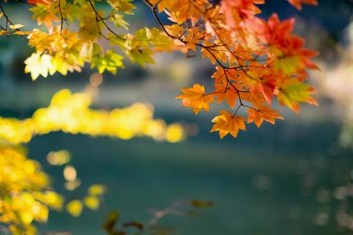 Ανοιξιάτικος ο καιρός μέχρι και τη Δευτέρα