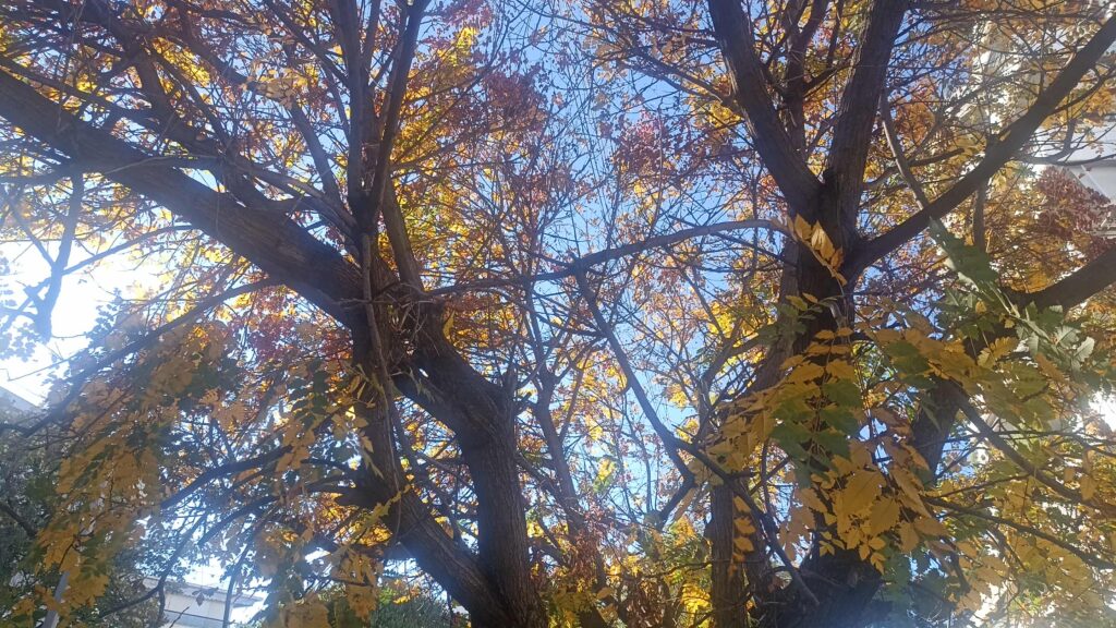 Πώς θα είναι ο καιρός σήμερα