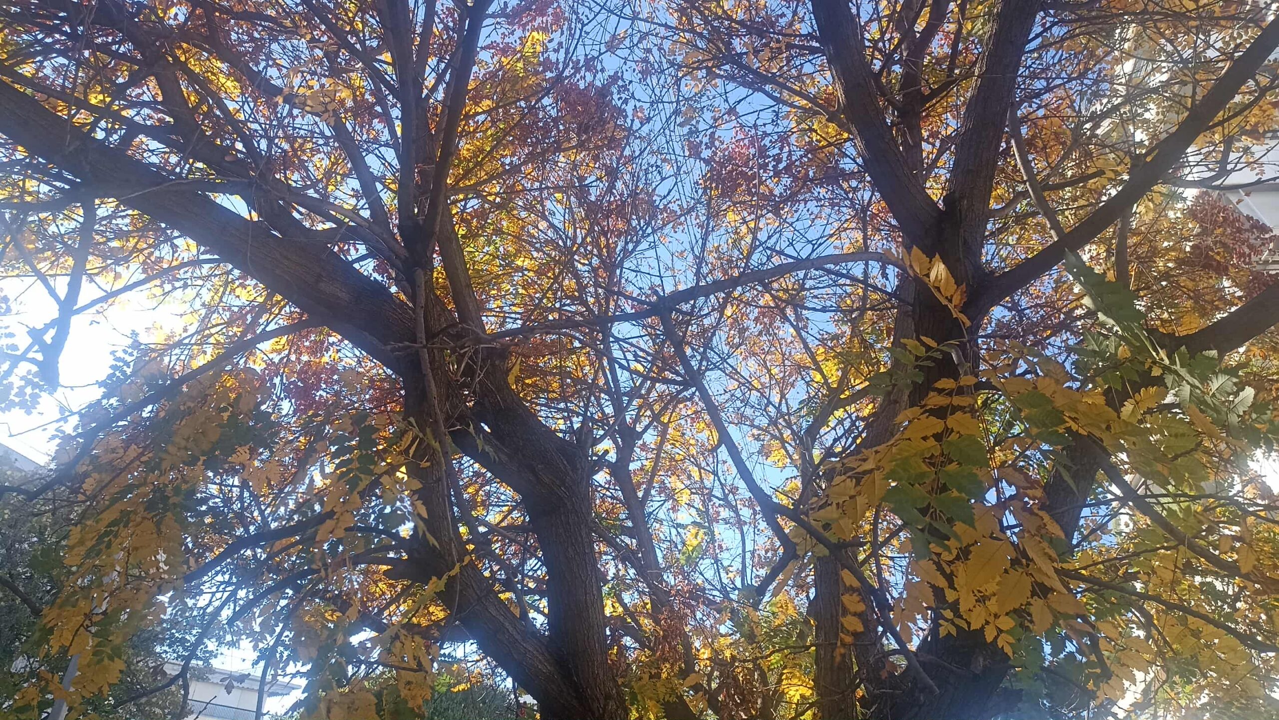 Πώς θα είναι ο καιρός σήμερα