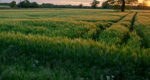 Σκάνδαλο ΟΠΕΚΕΠΕ: Δεν σταματούν …Τριπλό ΑΦΜ για χωράφι στη Μακεδονία