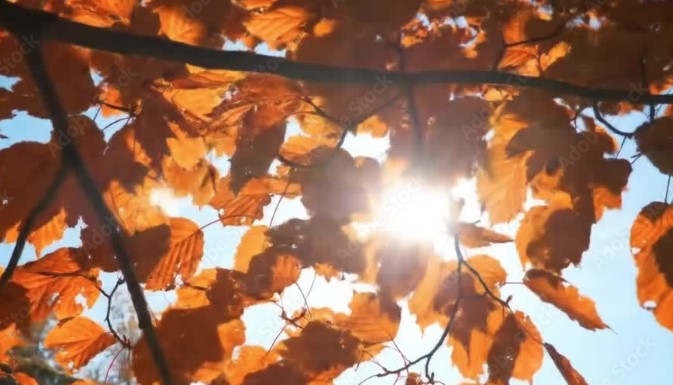 Καιρός: Άνοδος της θερμοκρασίας και εξασθένηση των βοριάδων