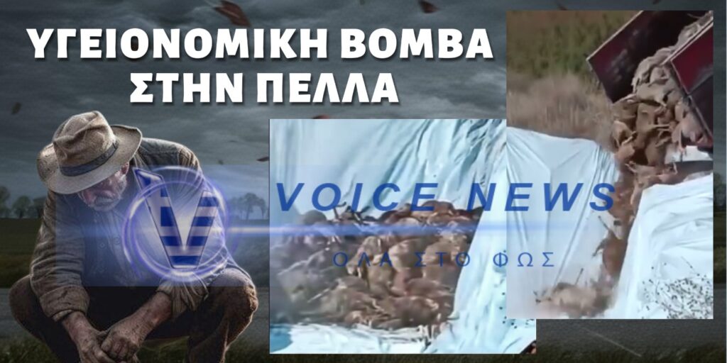 Σκληρές εικόνες: Υγειονομική βόμβα στην Πέλλα