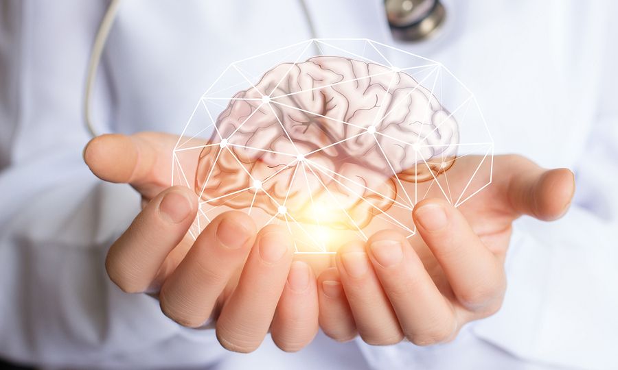 Το ζούμε και αυτό – Υπολογιστές που «λειτουργούν» με ανθρώπινα εγκεφαλικά κύτταρα