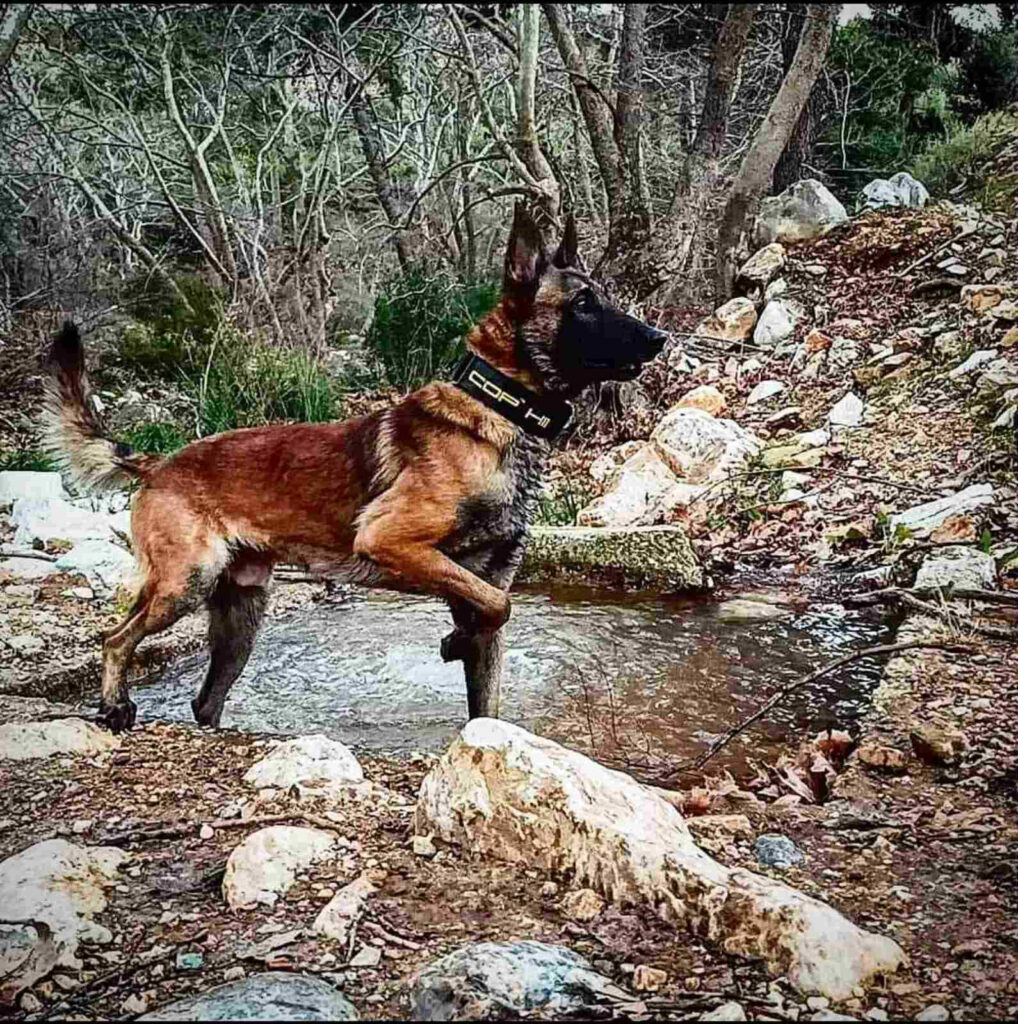 Σοκαριστικές αποκαλύψεις απο την ομάδα Anubis στον Focus FM 103,6