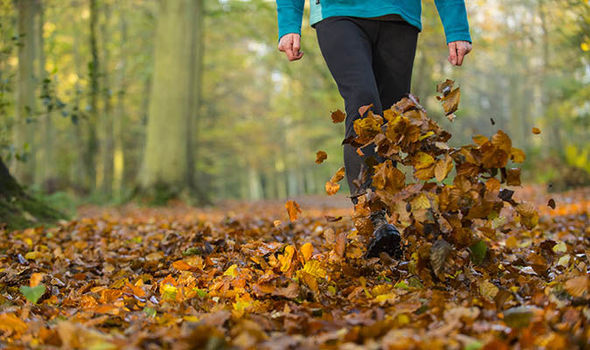 Αίθριος σήμερα ο καιρός