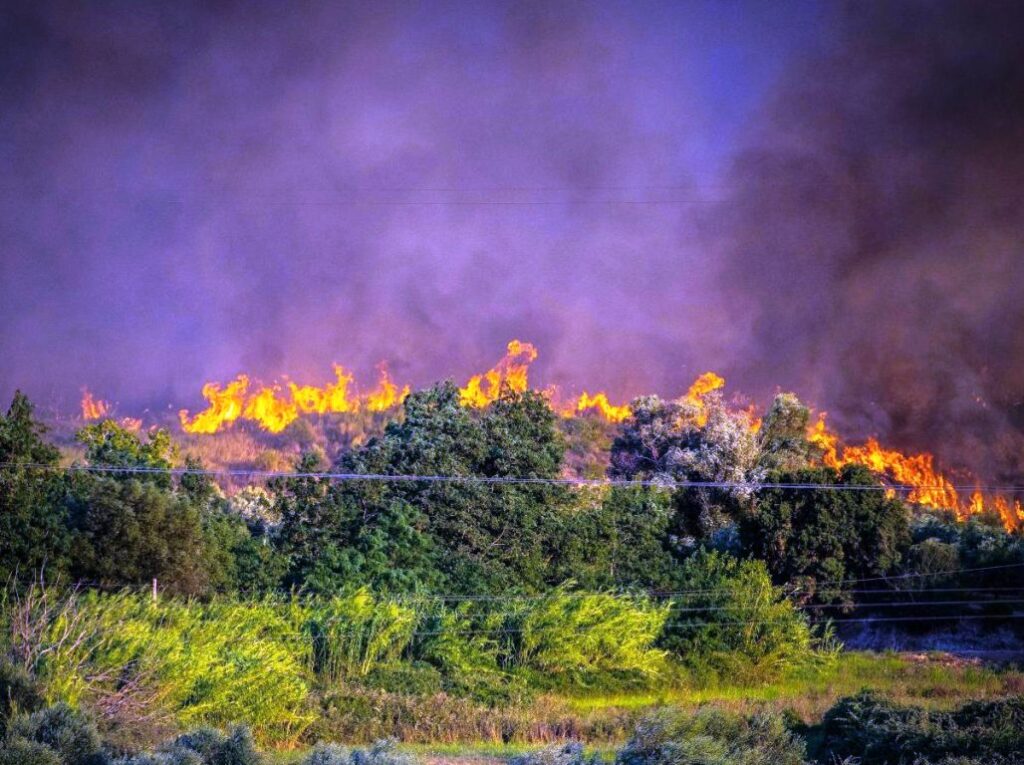 Φωτιά στην Εύβοια σε αγροτοδασική έκταση