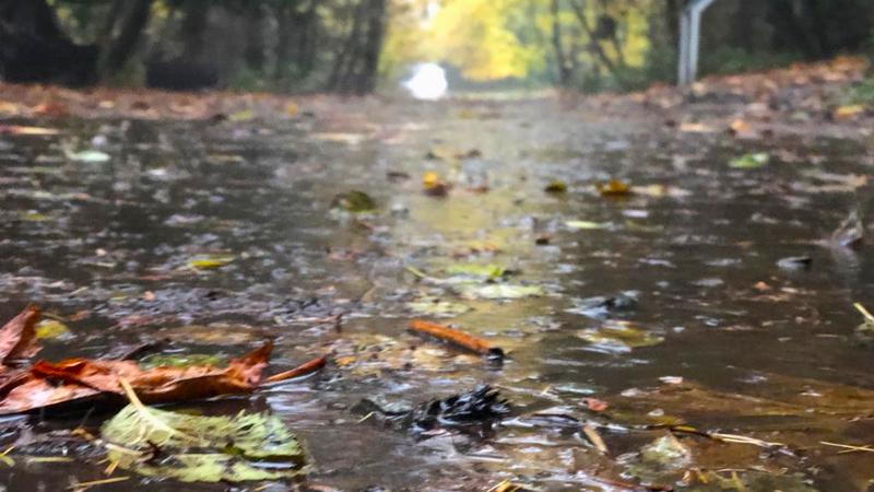 Βροχερή η σημερινή ημέρα