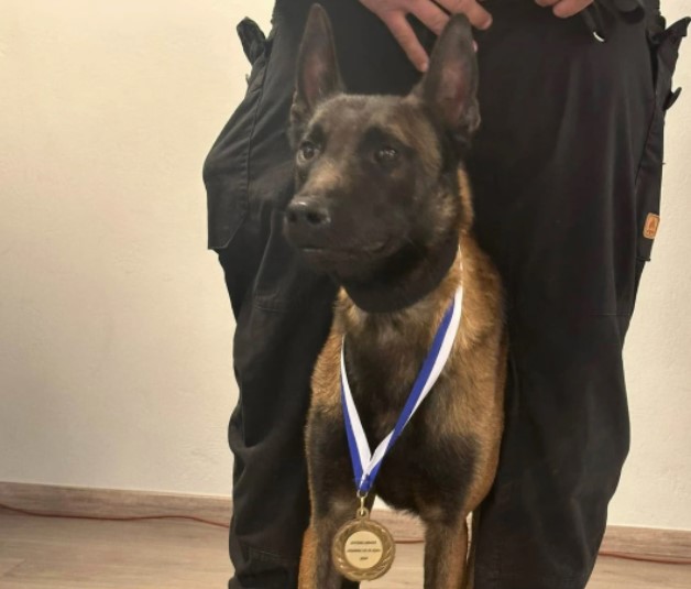 Θλίψη και οργή για τον Echo που τον δηλητηρίασαν