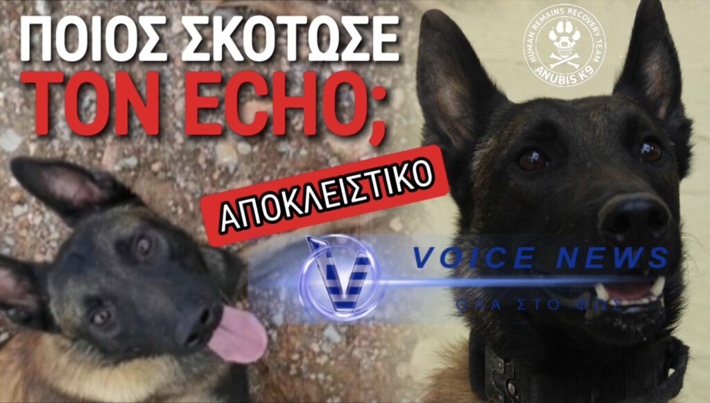 «Συμβόλαιο θανάτου» για την Anubis;