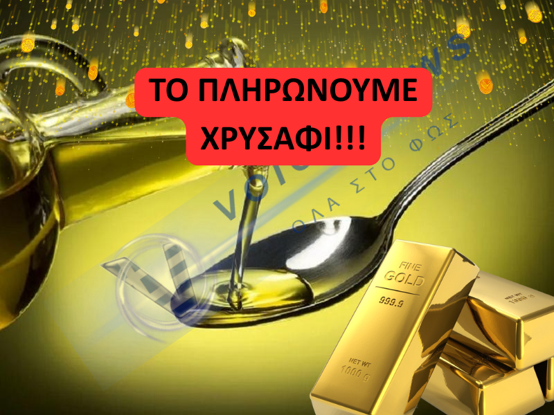 Υγρός χρυσός το λάδι – «Η φετινή είναι η χειρότερη χρονιά»