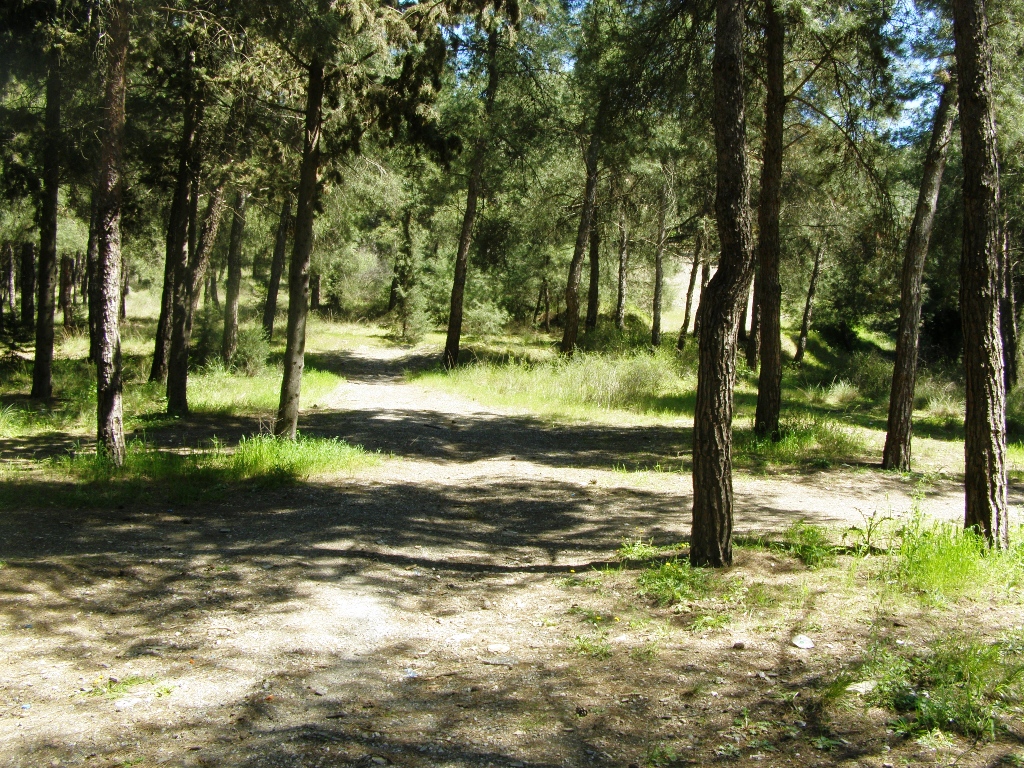 Θεσσαλονίκη: Βρέθηκε βλήμα από πολίτη στο Σέιχ Σου