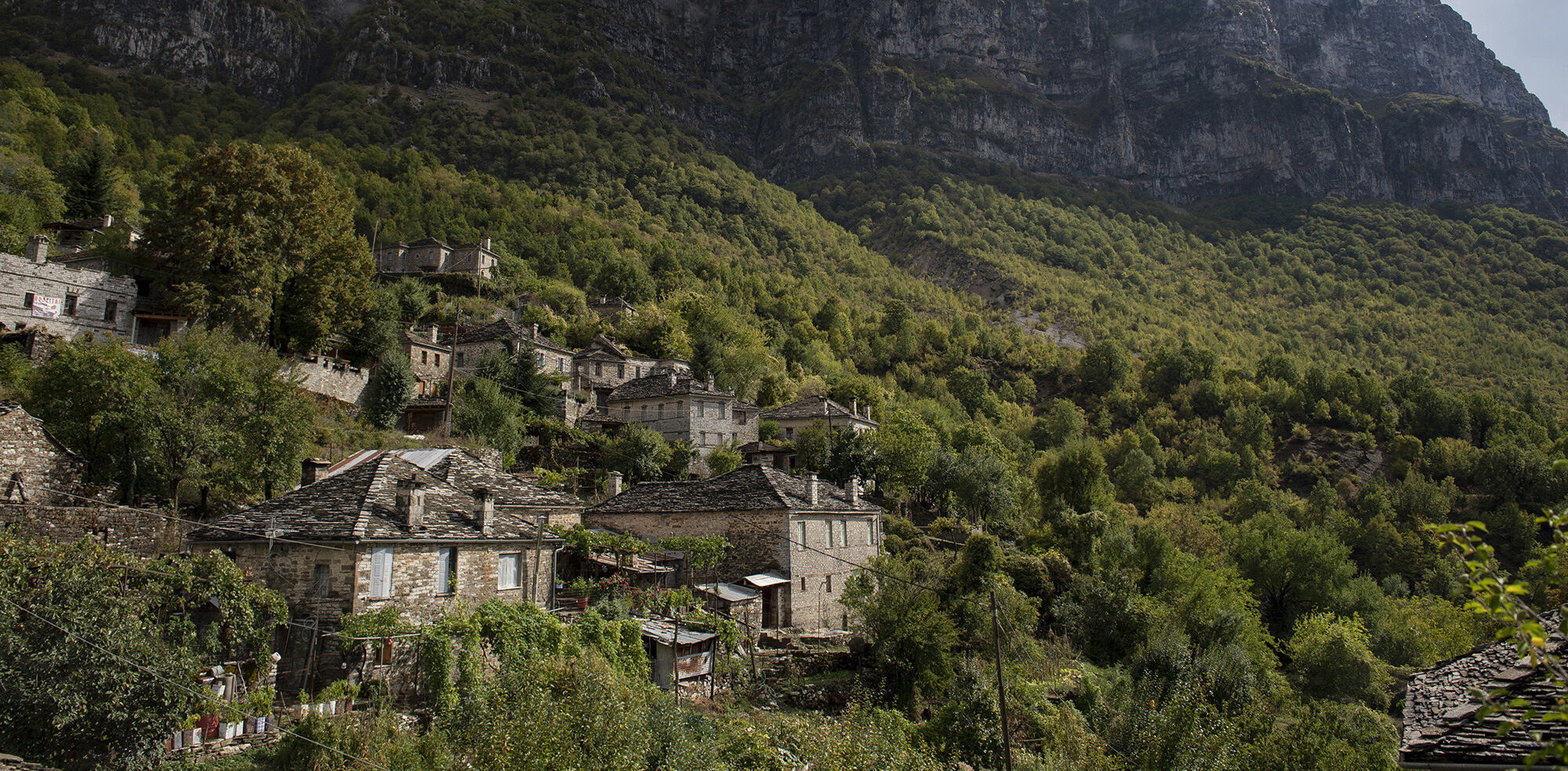 Δημογραφικό: «Επαναστατήσαμε το 21 για να απελευθερωθούμε από τον οθωμανικό ζυγό και τώρα ξαναφέρνουμε τους ισλαμιστές στην Ελλάδα»
