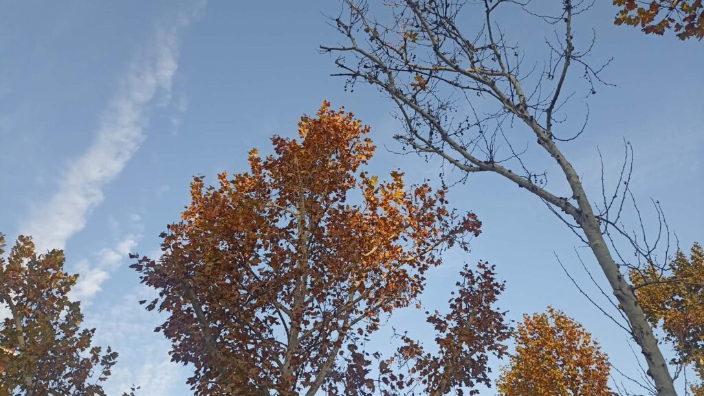 Ο καιρός έως τα Χριστούγεννα – Πιθανές χιονοπτώσεις;