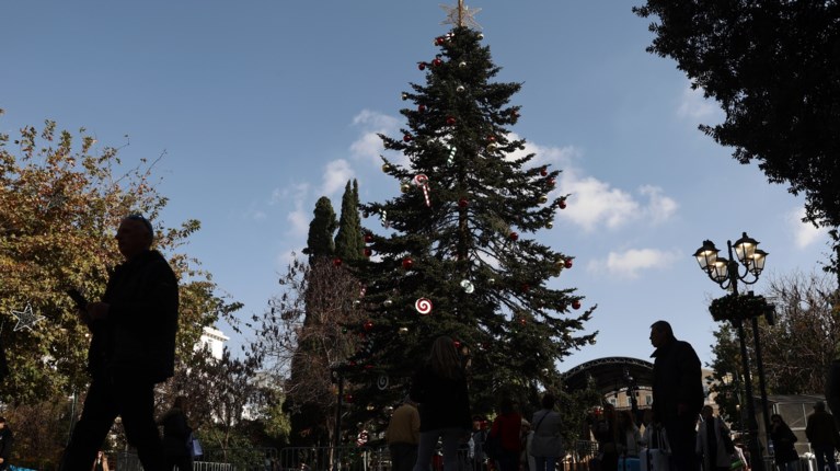 Εύβοια: Εκλεψαν χριστουγεννιάτικα δέντρα από κεντρικά σημεία