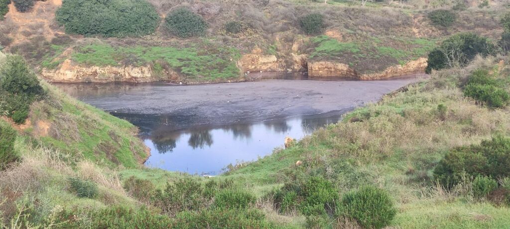 Χαλκιδική: Ασυνείδητοι έριχναν επί έξι μήνες βοθρολύματα σε ορεινή περιοχή