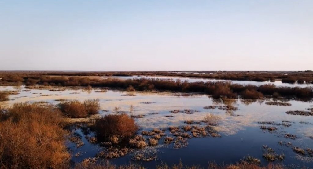 Απροστάτευτα τα Εθνικά Πάρκα: Απολύουν εργαζόμενους με πολυετή εμπειρία