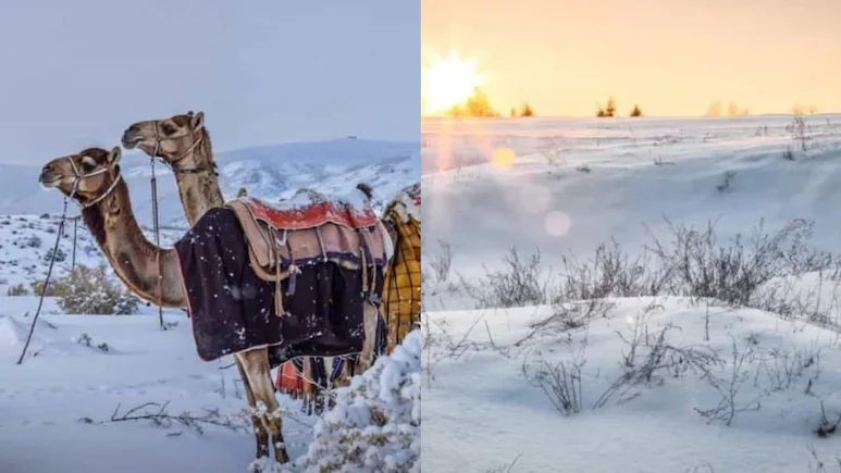Χιόνια στην έρημο:  Εξωπραγματικές εικόνες στην Σαουδική Αραβία 