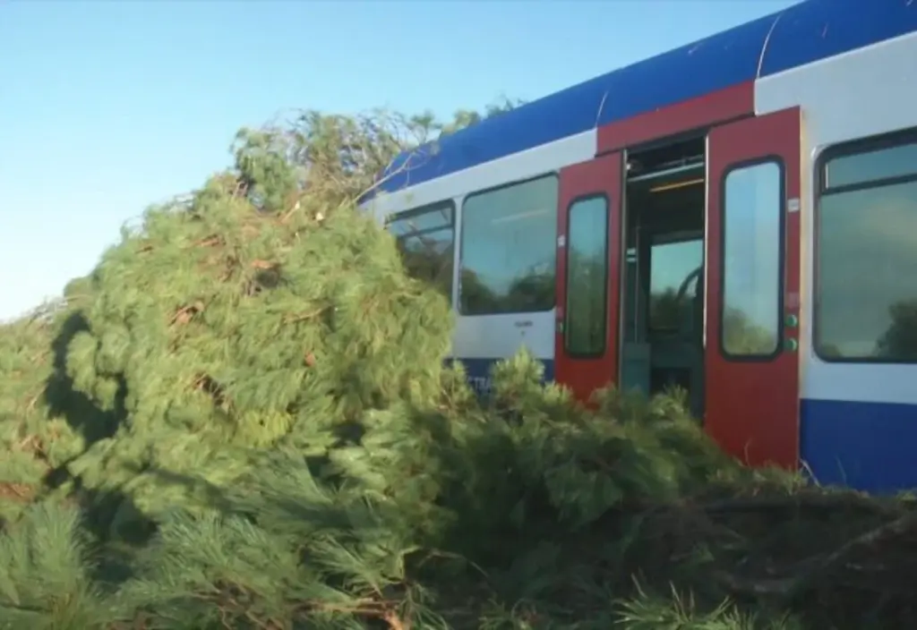 Δέντρο έπεσε πάνω σε τρένο που εκτελούσε το δρομολόγιο Πύργος – Κατάκολο